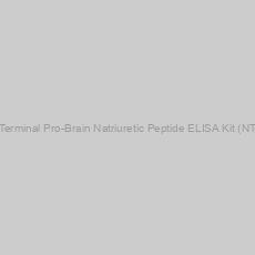 Image of Rabbit N-Terminal Pro-Brain Natriuretic Peptide ELISA Kit (NT-ProBNP)